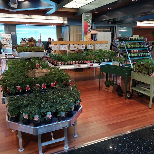 El proyecto Orlandelli-Hobby para plantas hortícolas