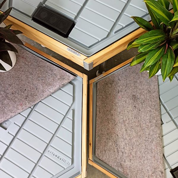 Hexagonal, wood line AMOR