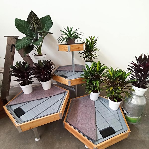 Table hexagonale Ligne en Bois AMOR