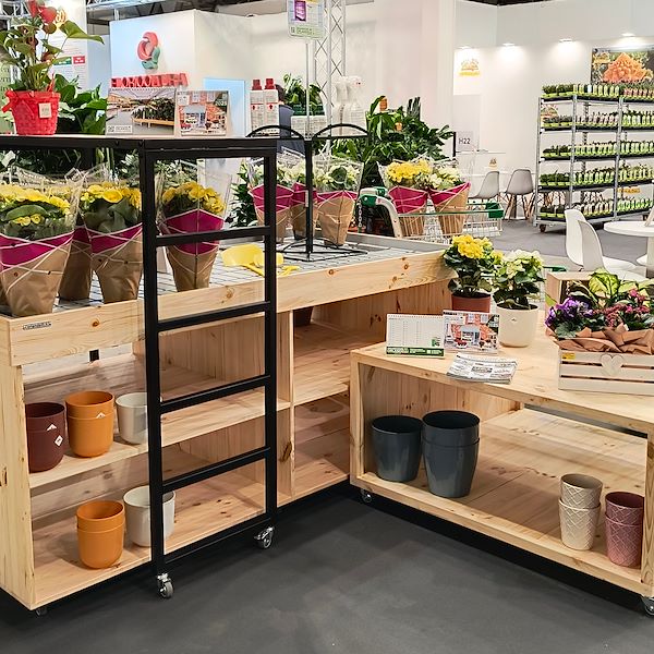 Podium en bois
