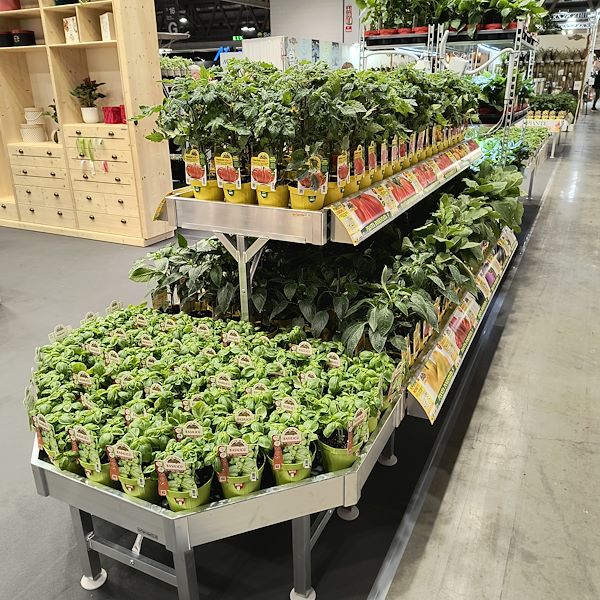 Set für Gemüse- und Gewürzpflanzen