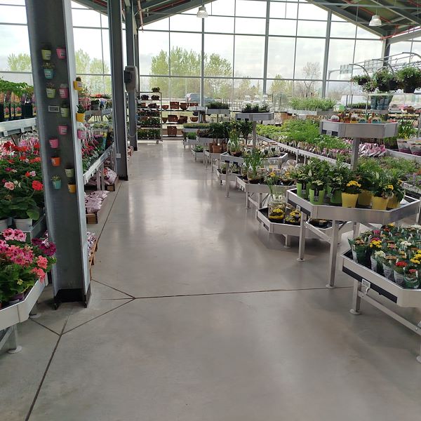 La apertura - PRAKTIS