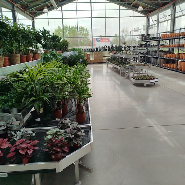 L'ouverture - PRAKTIS