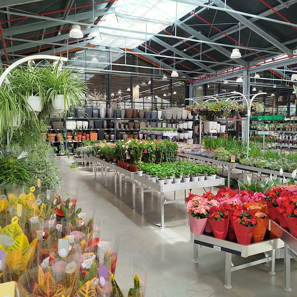 La apertura - PRAKTIS