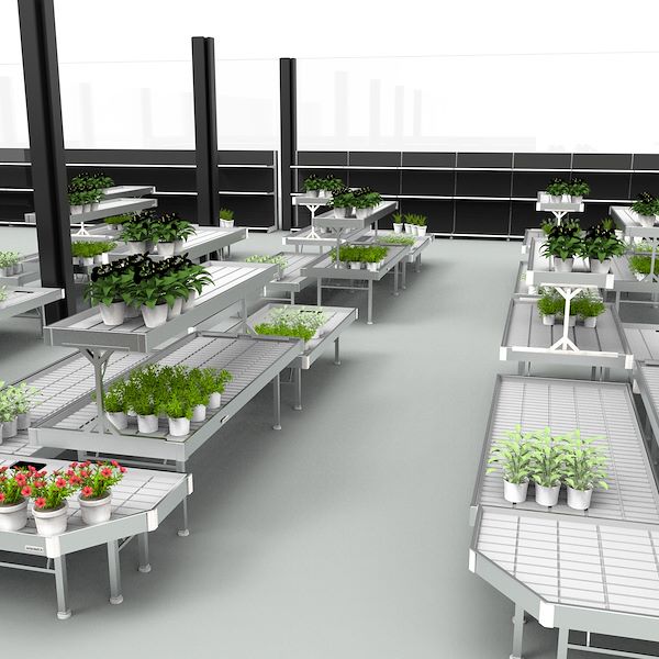 El Proyecto - PRAKTIS