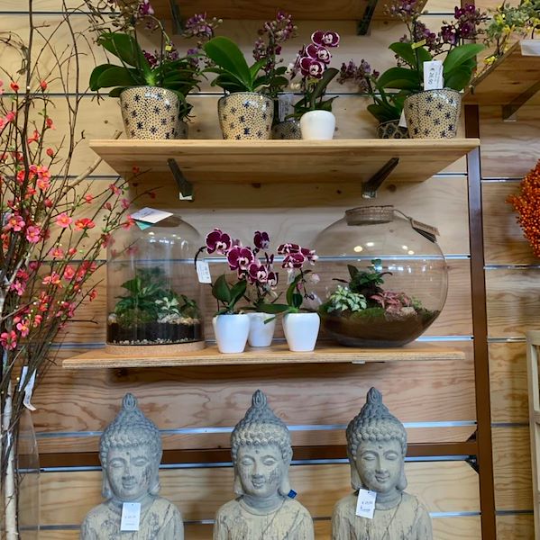 The new concept Paviotti by Orlandelli