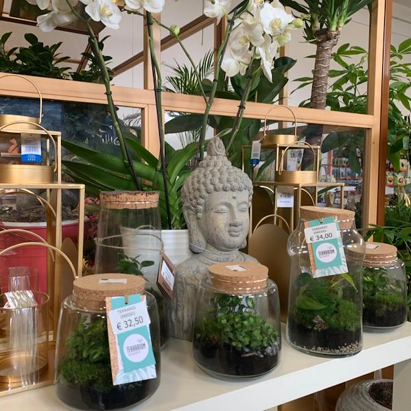 Le nouveau concept Paviotti d'Orlandelli