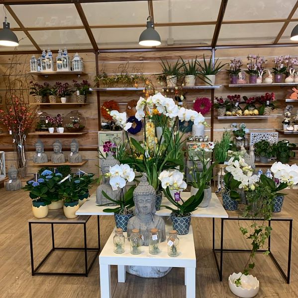 El nuevo concepto Paviotti de Orlandelli