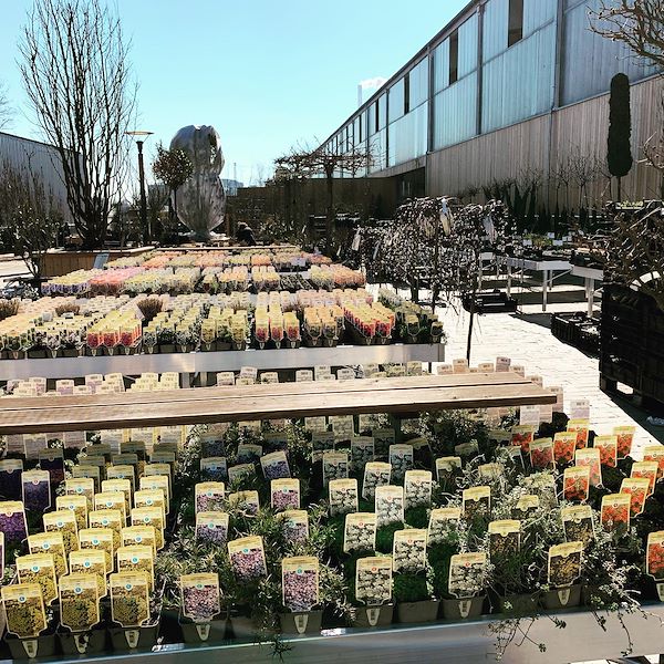 Banc de présentation fixe en aluminium à monter