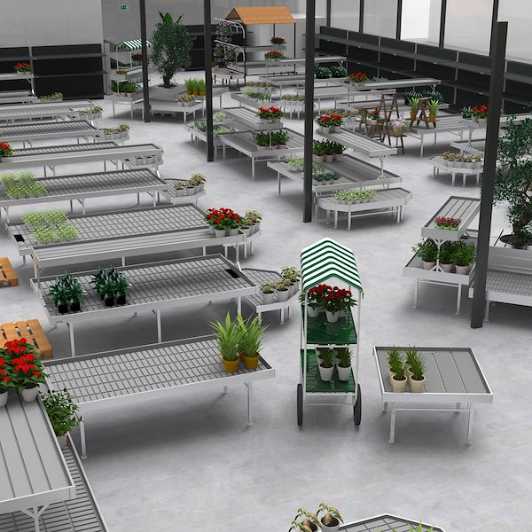 ALGUNAS VISTAS DEL PROYECTO