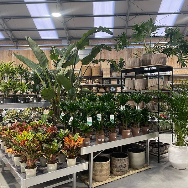 RESULTADO FINAL DEL CENTRO DE JARDINERÍA OFORNO