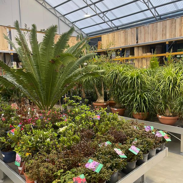ENDGÜLTIGES ERGEBNIS DES GARTENZENTRUMS OFORNO