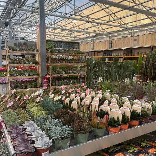 FINAL RESULT OF THE GARDEN CENTER OFORNO