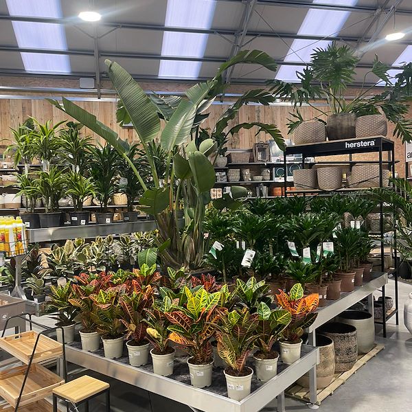 FINAL RESULT OF THE GARDEN CENTER OFORNO