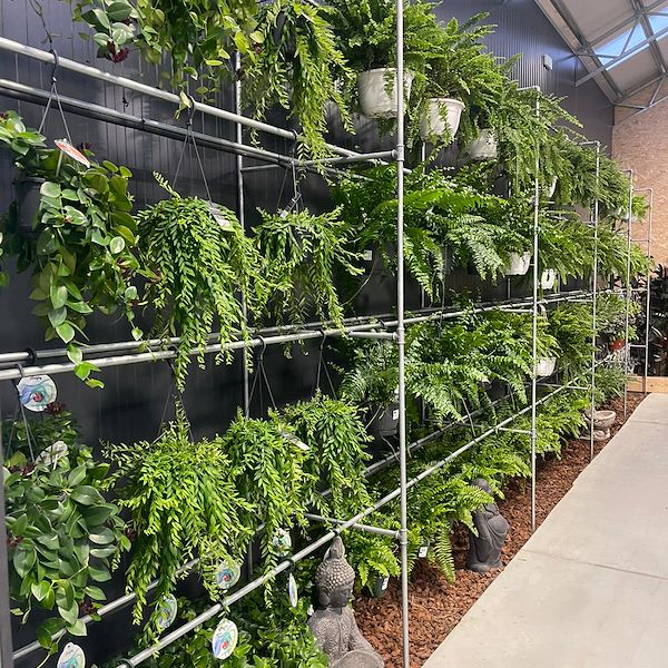 FINAL RESULT OF THE GARDEN CENTER OFORNO