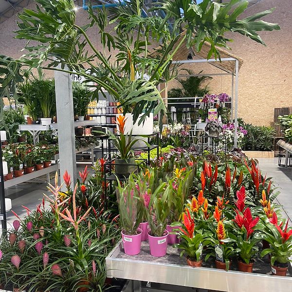 RESULTADO FINAL DEL CENTRO DE JARDINERÍA OFORNO