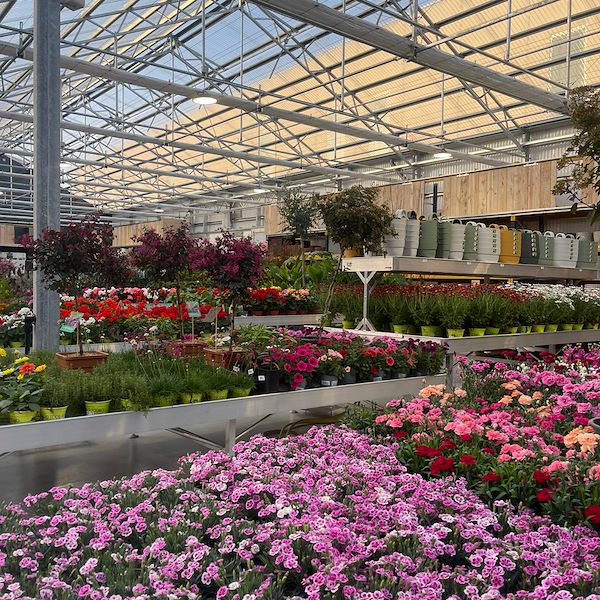 FINAL RESULT OF THE GARDEN CENTER OFORNO