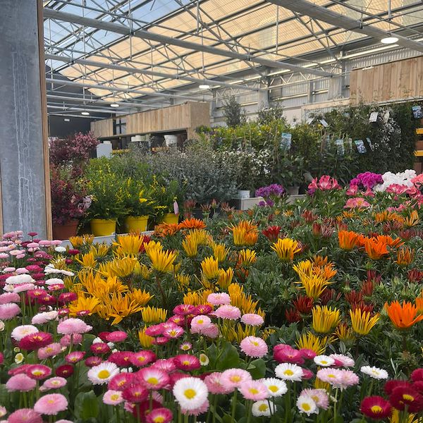 ENDGÜLTIGES ERGEBNIS DES GARTENZENTRUMS OFORNO