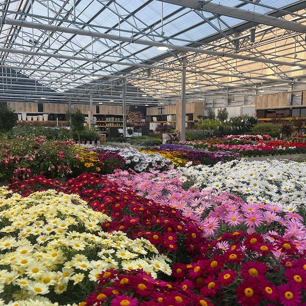 RESULTADO FINAL DEL CENTRO DE JARDINERÍA OFORNO