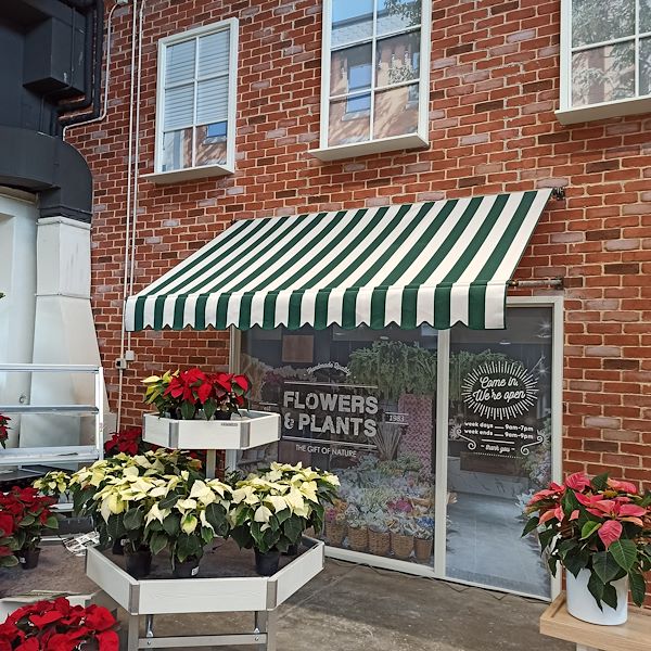 Organizzazione Orlandelli presenta un nuevo concepto de mobiliario para el área de empaquetado de plantas y flores