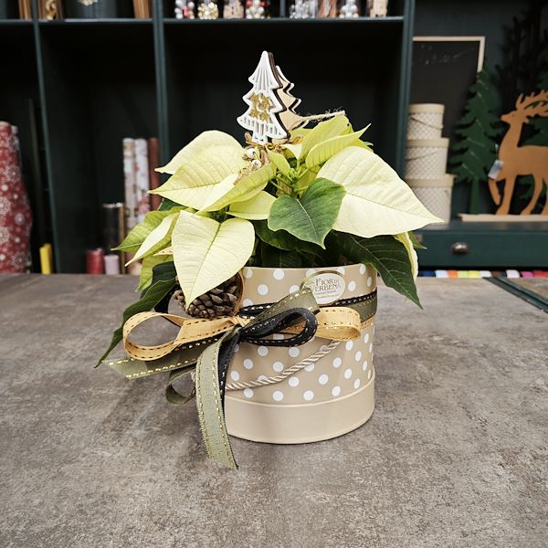 Organizzazione Orlandelli presenta un nuevo concepto de mobiliario para el área de empaquetado de plantas y flores