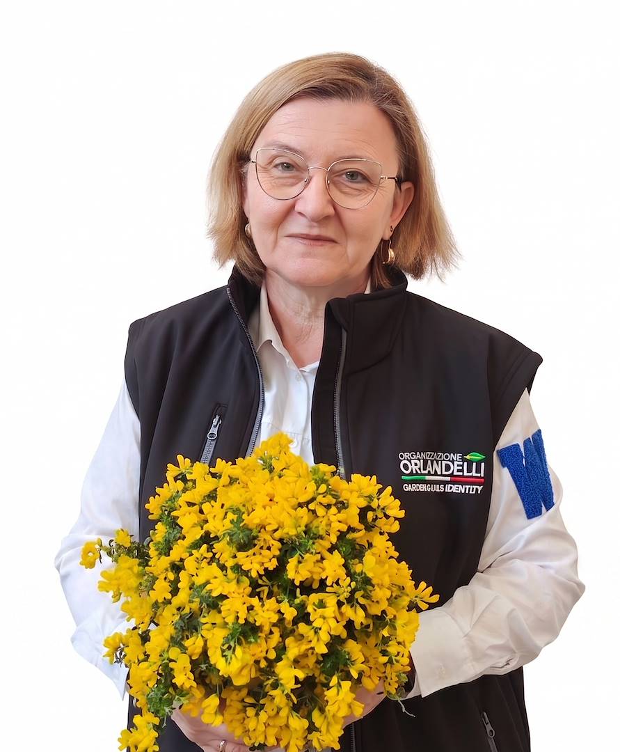 Paola Orlandelli