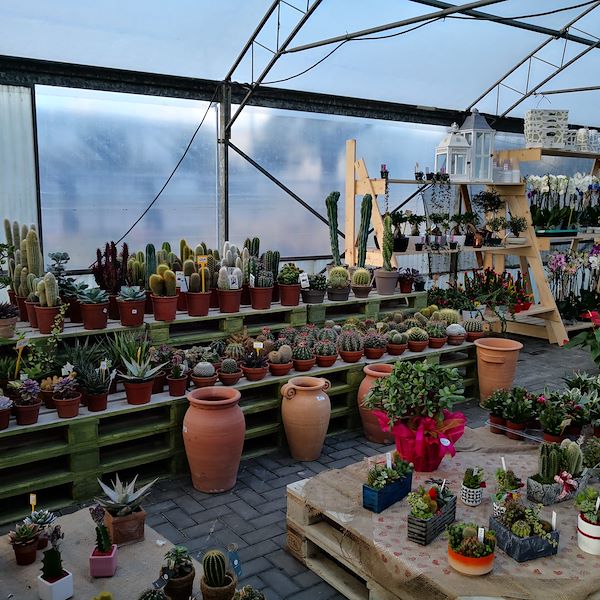 Garden Frediani prima del restyling