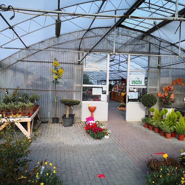 Garden Frediani vor der Neugestaltung