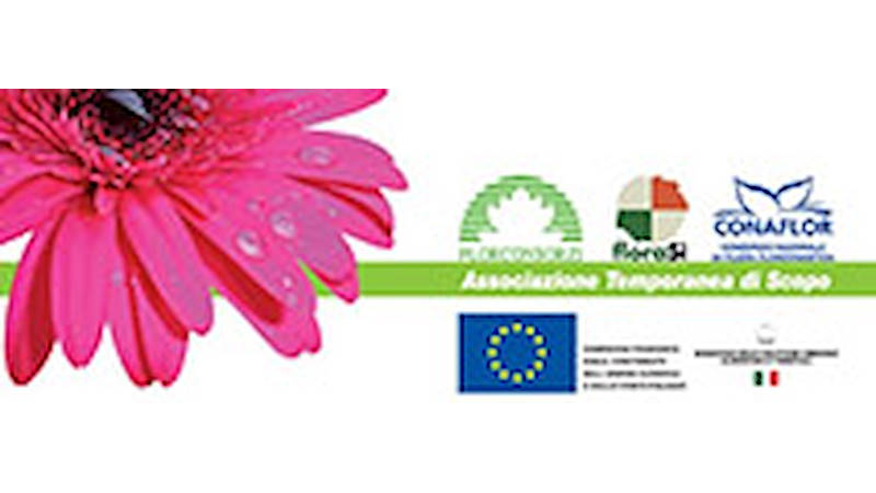 AGREGACIÓN, PROMOCIÓN... DESARROLLO !