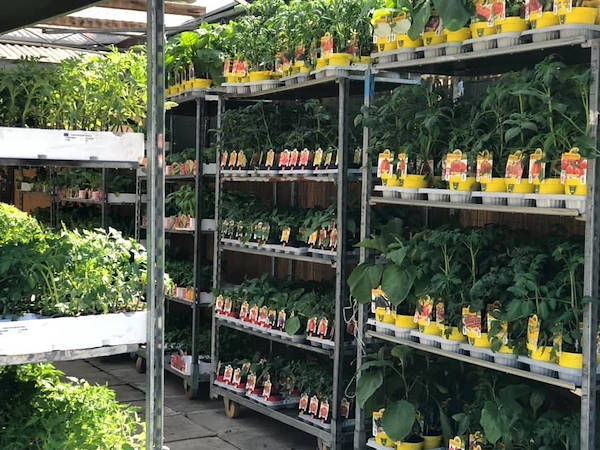 Agri Garden è Natali is renewed with Orlandelli solutions