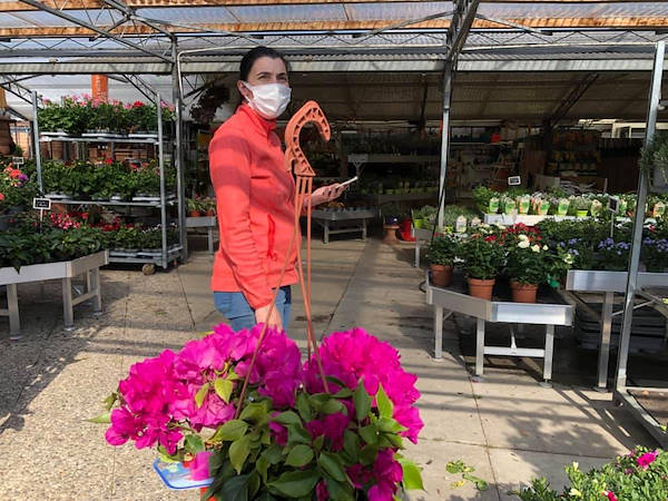 Agri Garden è Natali is renewed with Orlandelli solutions