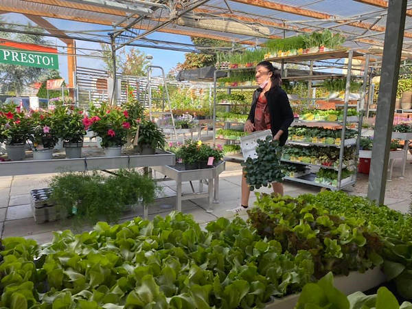 Agri Garden è Natali is renewed with Orlandelli solutions