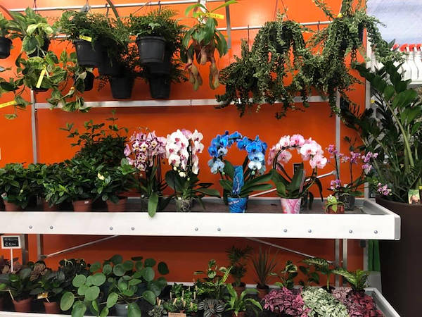 Agri Garden è Natali se renueva con soluciones Orlandelli