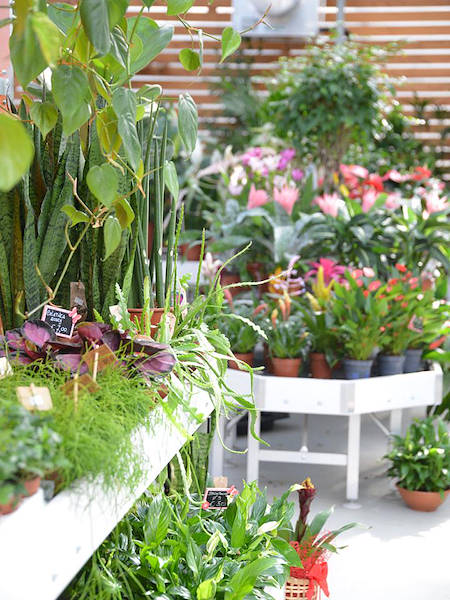 Agri Garden è Natali se renueva con soluciones Orlandelli