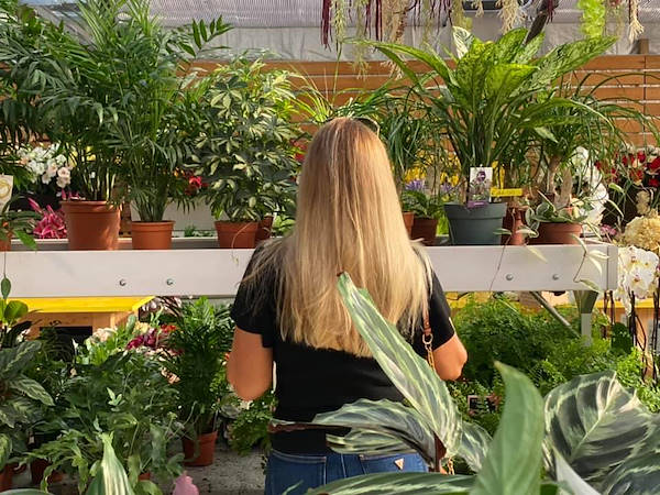 Agri Garden È Natali si rinnova con le soluzioni Orlandelli