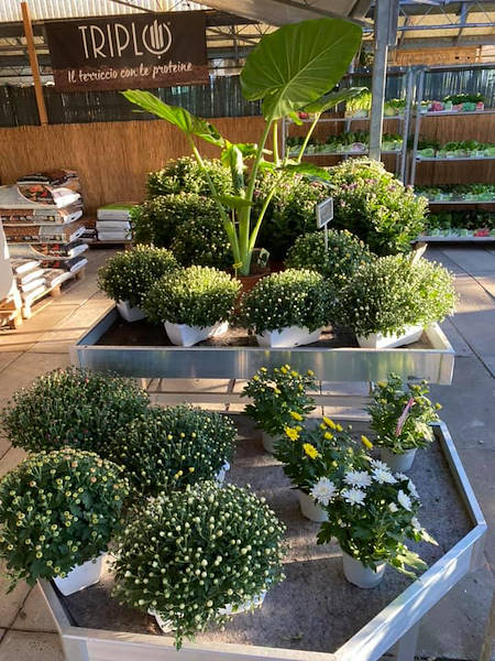 Agri Garden È Natali si rinnova con le soluzioni Orlandelli