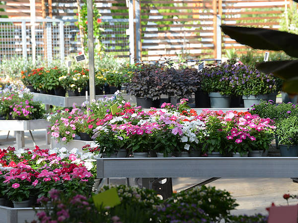 Agri Garden È Natali si rinnova con le soluzioni Orlandelli