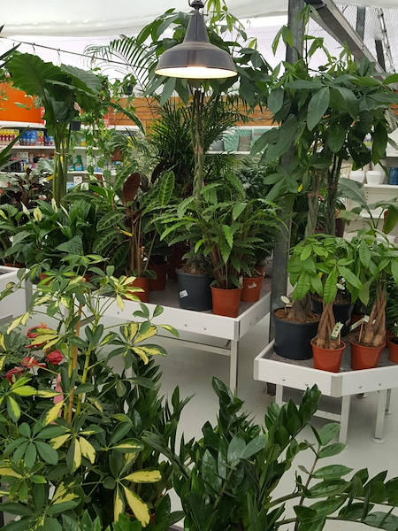 Agri Garden è Natali wird mit den Lösungen von Orlandelli renoviert