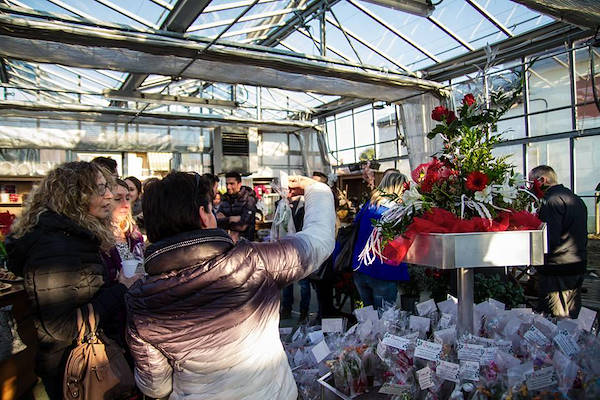 Agriflora: transformer une passion en travail