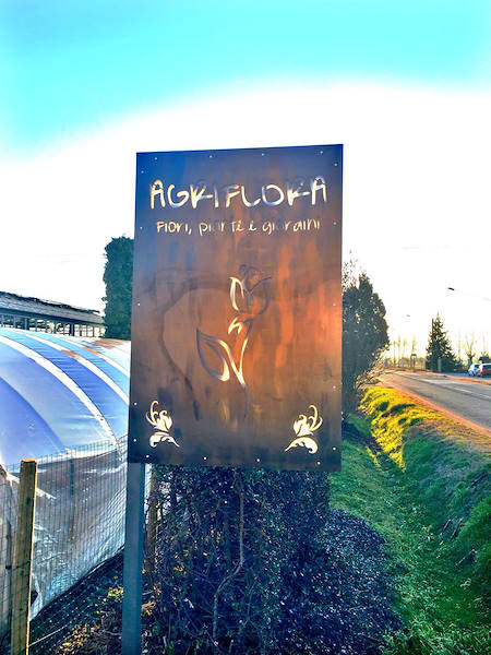 Agriflora: transformer une passion en travail