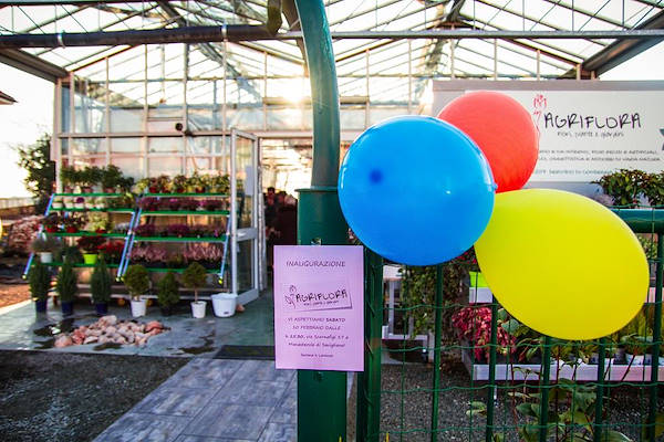 Agriflora: trasformare una passione in lavoro