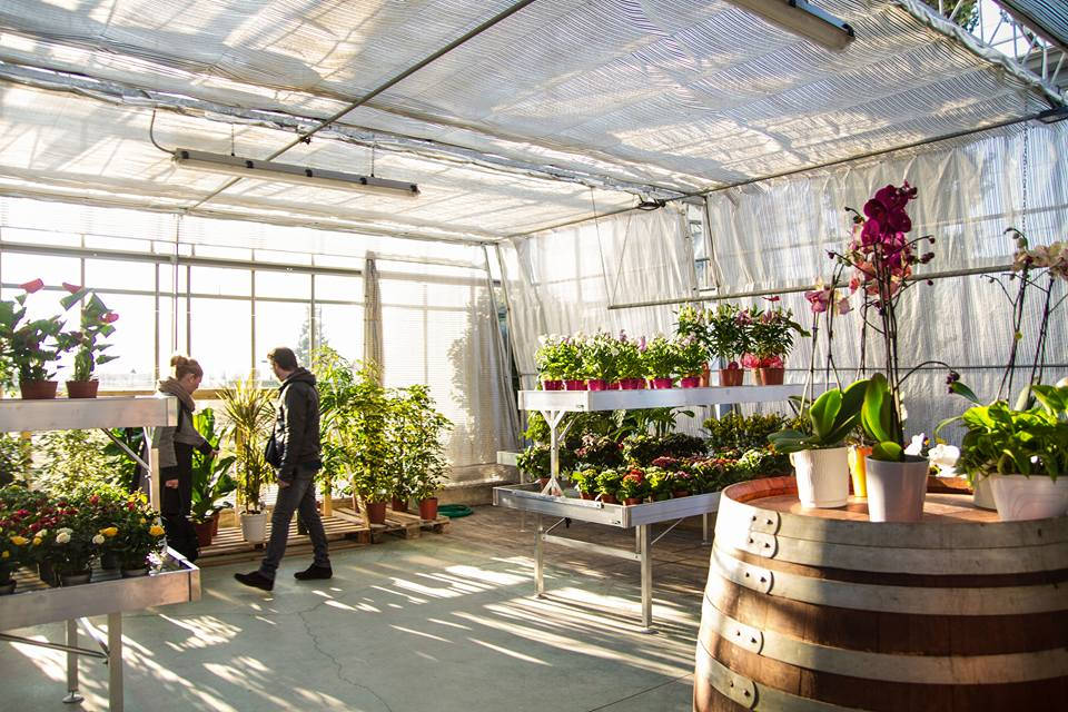 Agriflora: turning a passion into a job