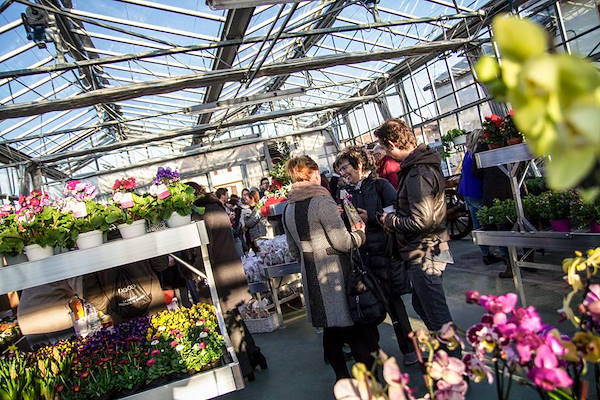 Agriflora: turning a passion into a job