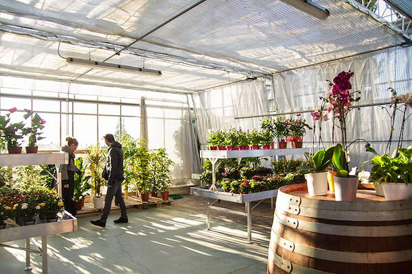 Agriflora: turning a passion into a job