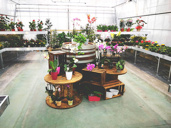 Agriflora: turning a passion into a job