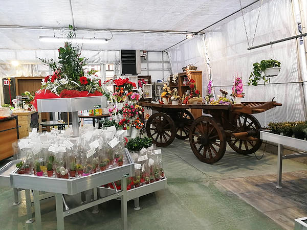 Agriflora: turning a passion into a job