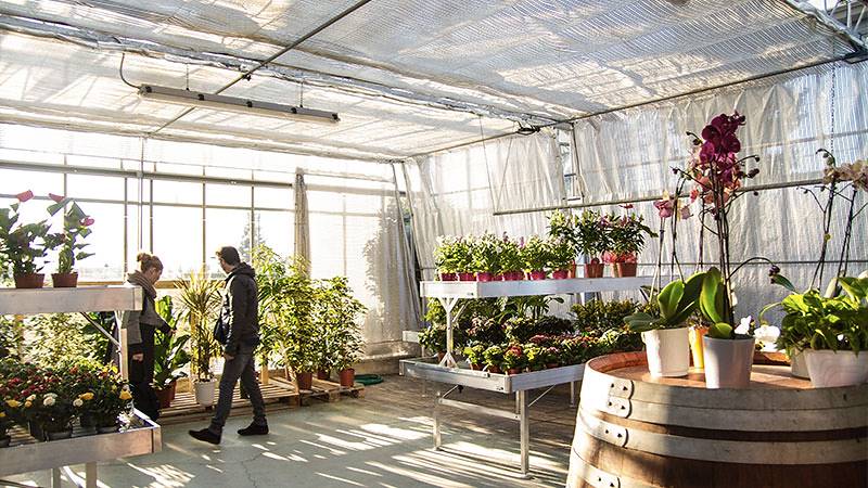 Agriflora: transformer une passion en travail