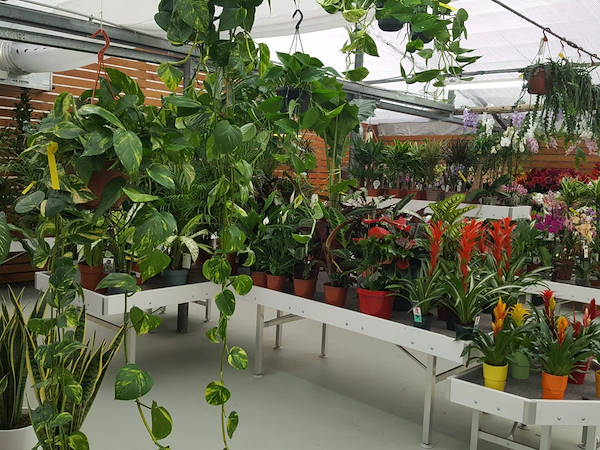 AgriGarden è Natali fait peau neuve grâce aux solutions déployées par Orlandelli