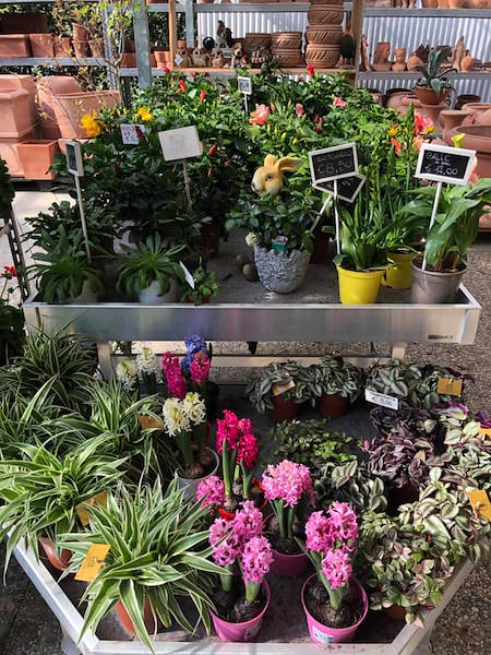 AgriGarden è Natali fait peau neuve grâce aux solutions déployées par Orlandelli