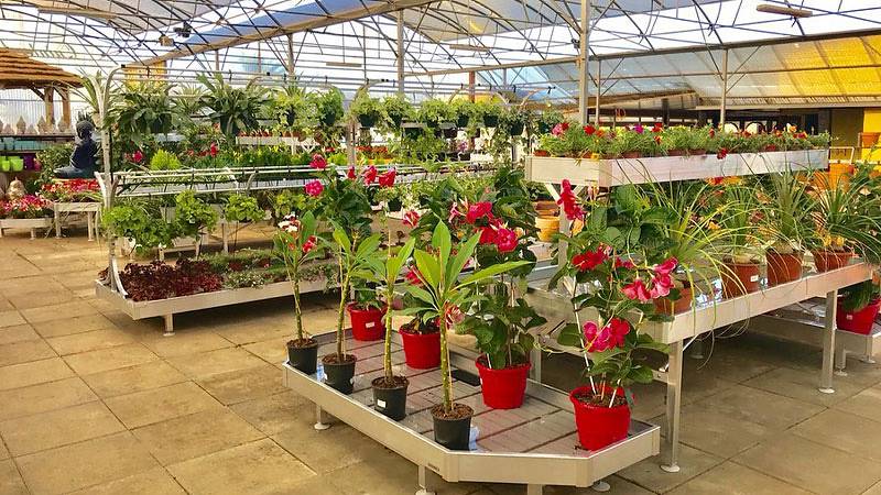 في البرتغال  Alfa Garden Center   إعادة تصميم